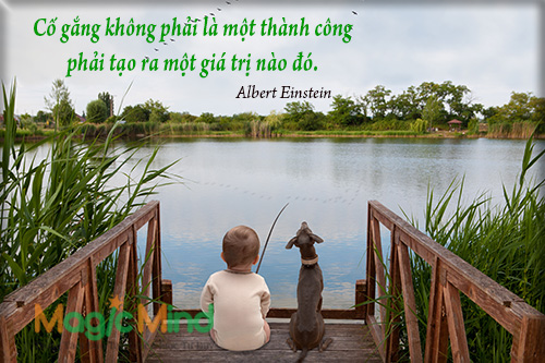 Hãy tạo ra giá trị cho cuộc sống